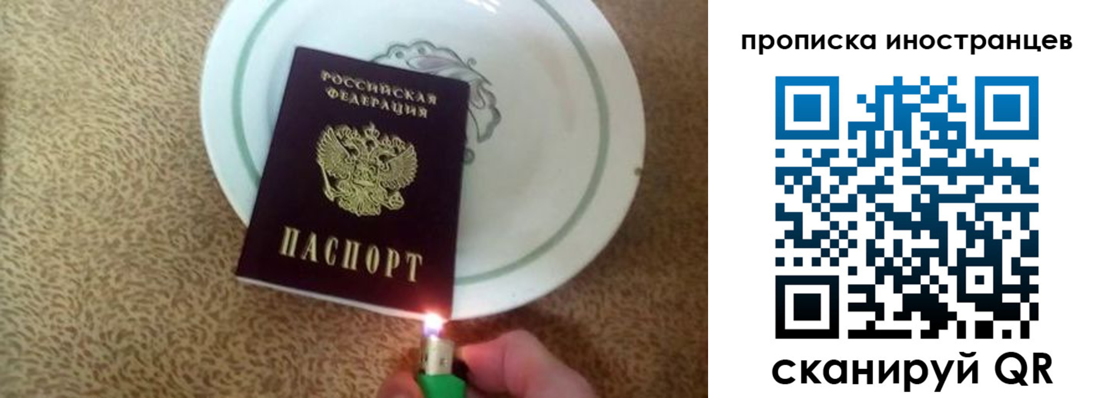 прописка поиск в Армавире